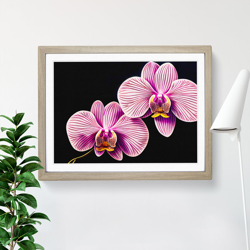 Head Turning Orchid Flowers - Single Picture Frame Print, 34cm H x 46cm W x 2cm D, Oak