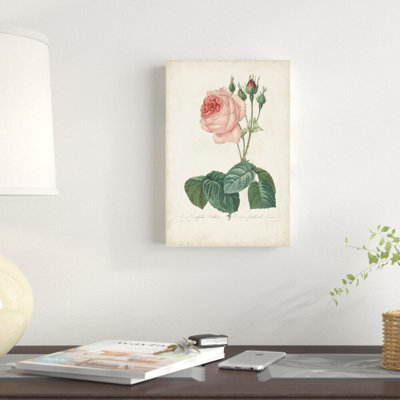 Roses rétro Redoute I