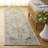 Hamilton Performance Oriental Indoor Rug-822630335