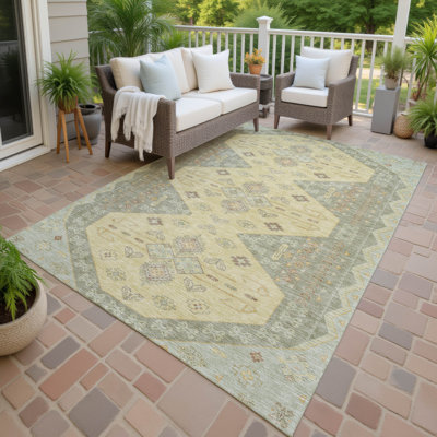 Machine Washable Indoor/Outdoor Chantille ACN2565 Global Rug