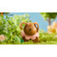 Tiny Land® Happy Urban Paws