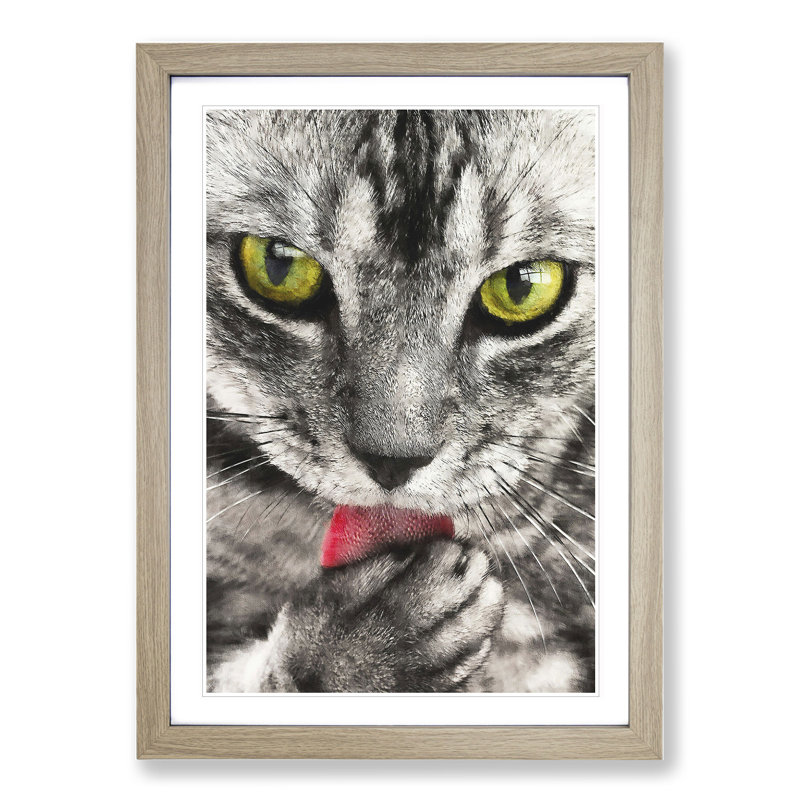 Portrait of a Cat Vol.9 - Framed Print, 36cm H x 27cm W x 2cm D, Oak Framed