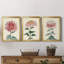 «Chrysanthemum Woodblock I», ensemble de 3 peintures sur toile encadrées-1694466981-1694466990