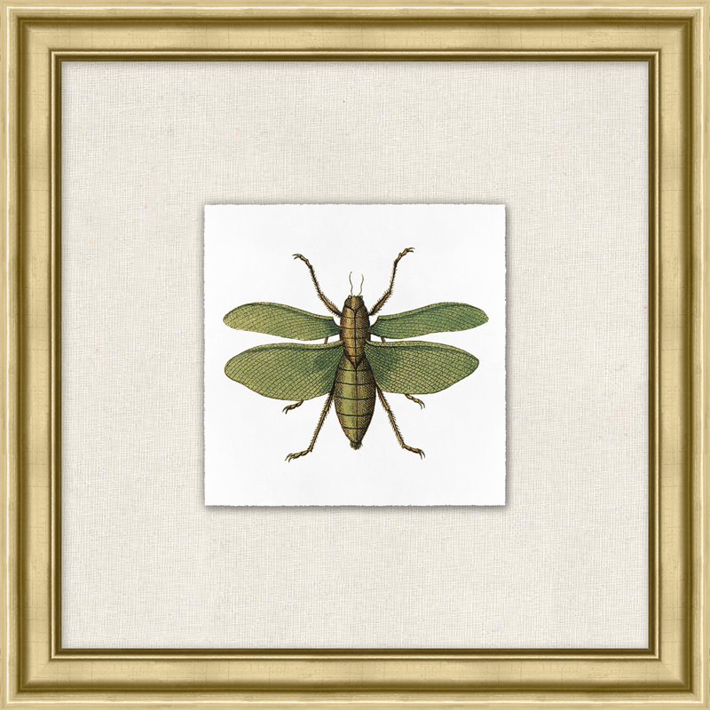 Flying Specimen " Flying Specimen 2 " by Lillian August