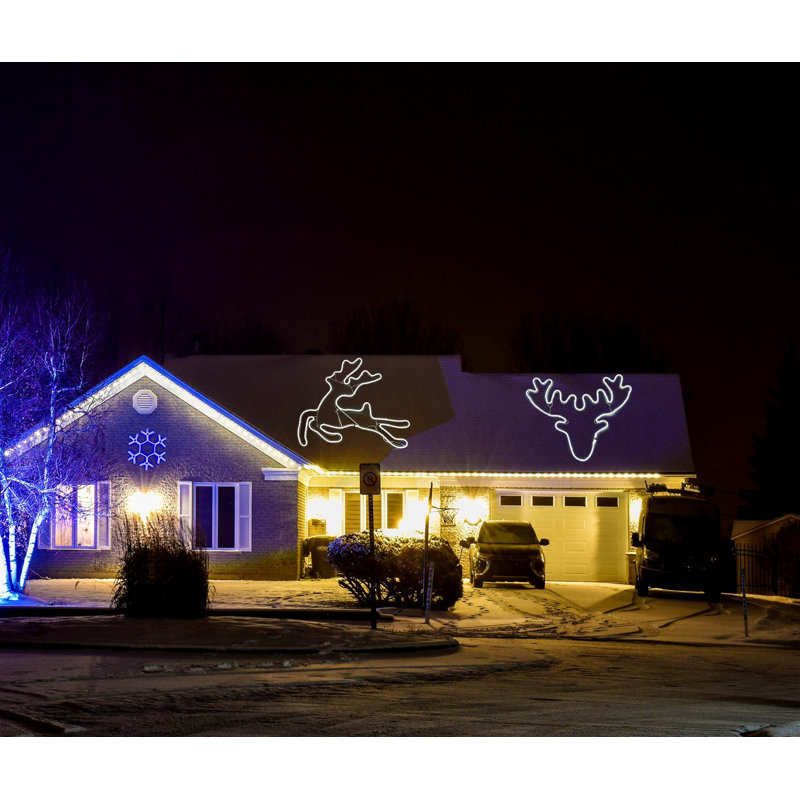 LED Indoor / Outdoor Rope Light