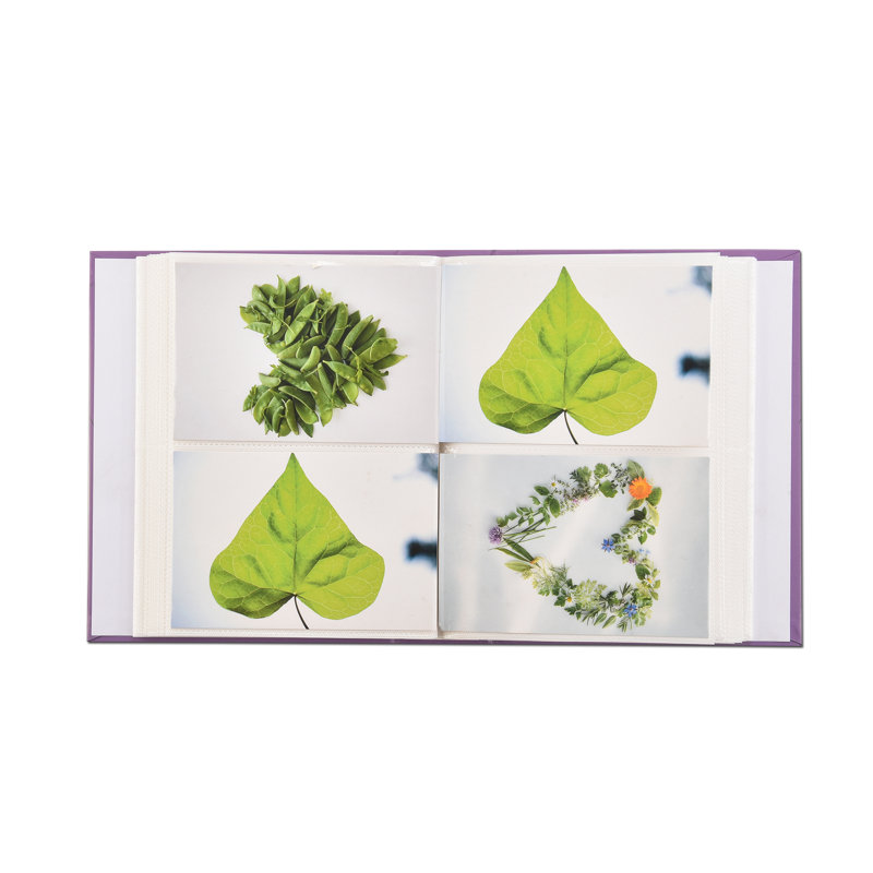 Paper Plants & Flowers Album