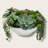 Ivory Harvest Faux Succulent Arrangement | Off-White Ceramic Vase with Driftwood