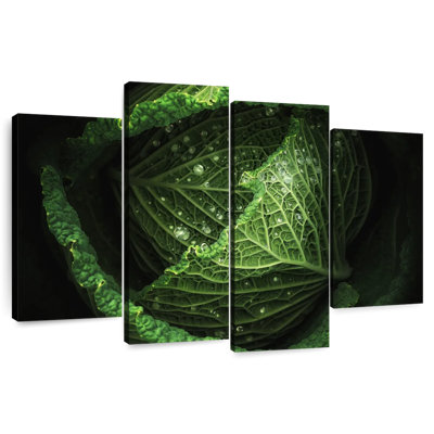 Yarlin Cabbage