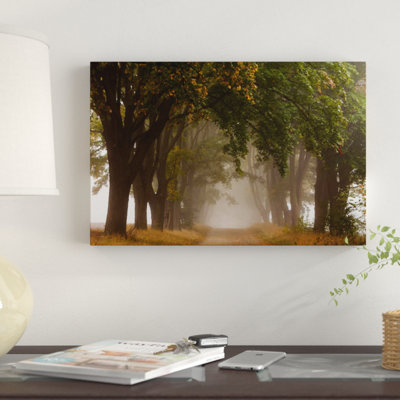 «Pologne, Jura, Maple Alley I» par Mikolaj Gospodarek - impression sur toile tendue