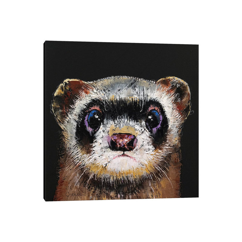 Ferret by Michael Creese - Wrapped Canvas Print, 30.48 cm H x 30.48 cm W