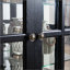Vitrine Curio-1664083443