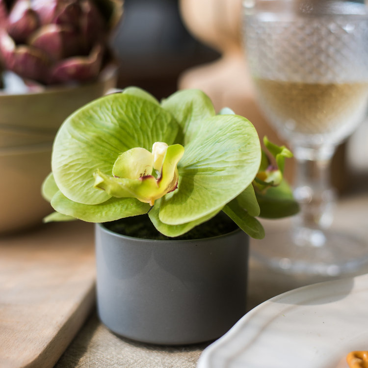 Mini arrangement floral orchidée en pot, Vert