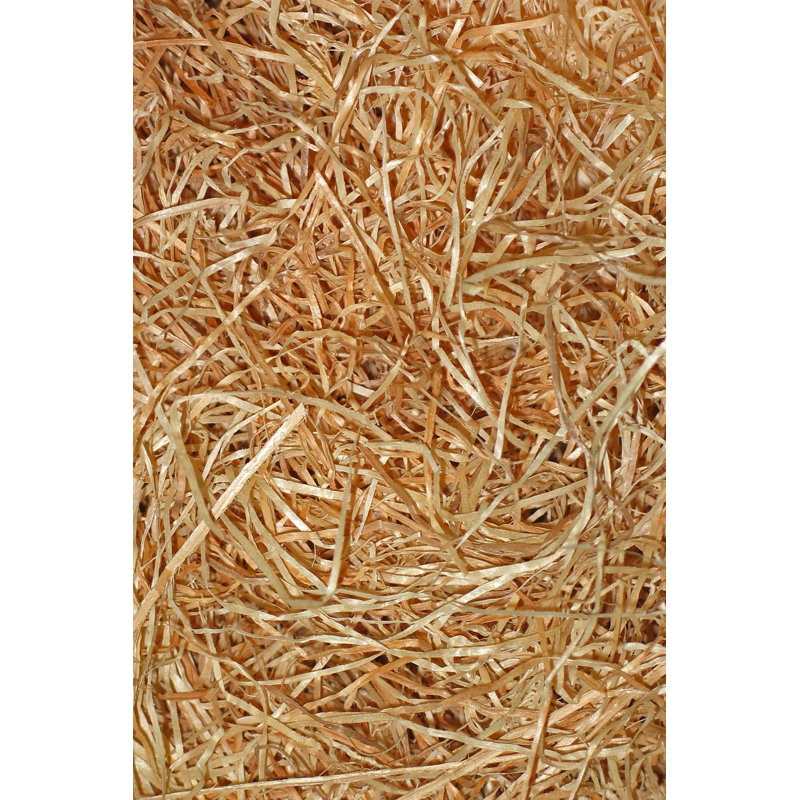 Premium Woven Carpet Area Rug, 5.9 x 9.2 ft, 100% Polyester, 650 g/m² | Antibacterial, Non-Slip Underside, 3D Digital Printing | Machine Washable, Soft Pile Height: 0.3 in | Perfect for Living Room & Bedroom Decor