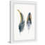 «Fluffy Feathers», reproduction encadrée-1338008910