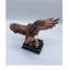Aigle Crary sur un rocher