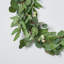 Guirlande ou chemin de table Seeded Silver Dollar & Needleleaf Eucalyptus-588677887