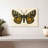 Brampt Natures Butterfly V-107852149