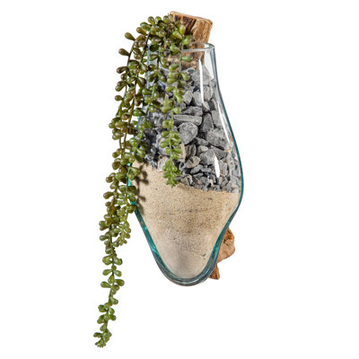 Wall Mounted Glass Planter on Driftwood