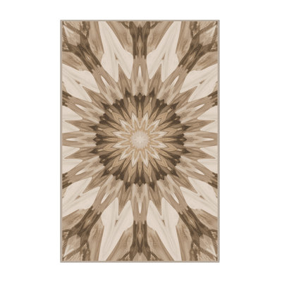 Machine Washable Paulett Posh & Luxe Starburst Rug in Brown – Beige Binding