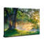 Wrapped Canvas Painting