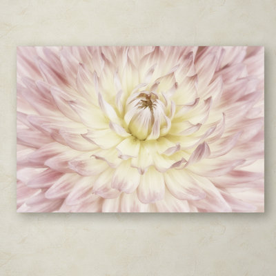 «Dahlia Flower» par Cora Niele - reproduction de photo sur toile