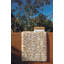 Palm Bath Rug-31601122