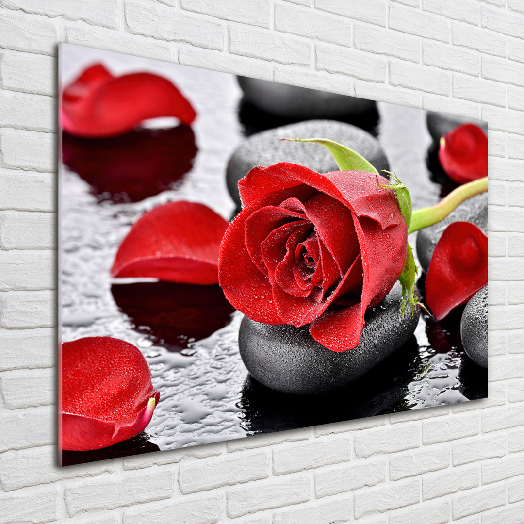 Glasbild Rote Rose