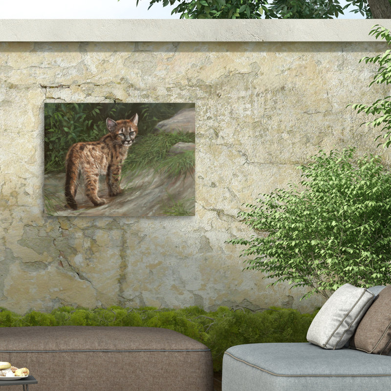 Toile d'extérieur David Stribble Cougar Cub, H 14 po x l 19 po