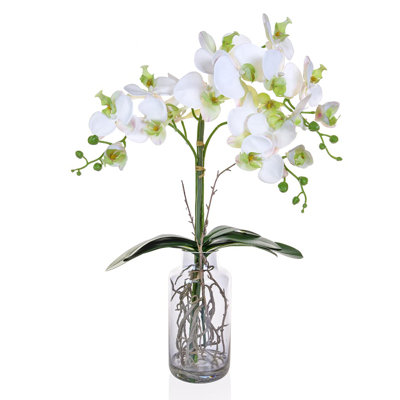 Polysilk Orchid Arrangement in Vase
