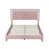 Light Pink is out of stock selected
