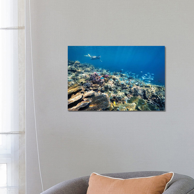 Underwater Reef With Snorkelling Girl by James Vodicka - Wrapped Canvas Gallery-Wrapped Canvas Giclée, 45.72cm H x 66.04cm W