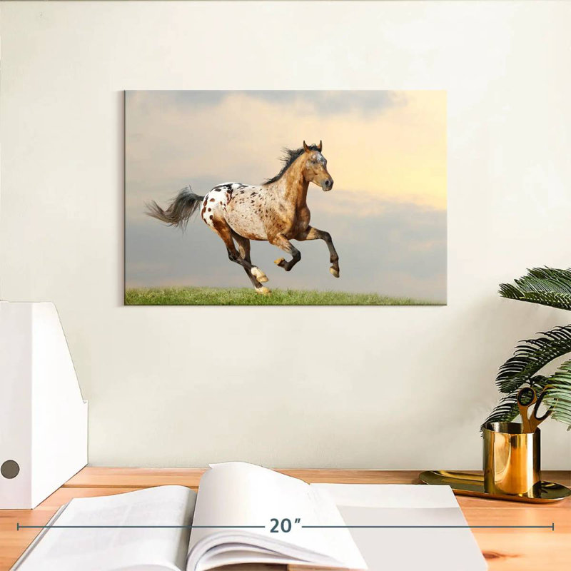Étalon majestueux Bramalo Appaloosa, H 8 po x l 12 po