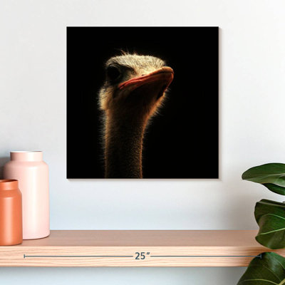 Crowle Gallant Ostrich
