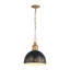 Luminaire suspendu 1 lumière Regena-106853597