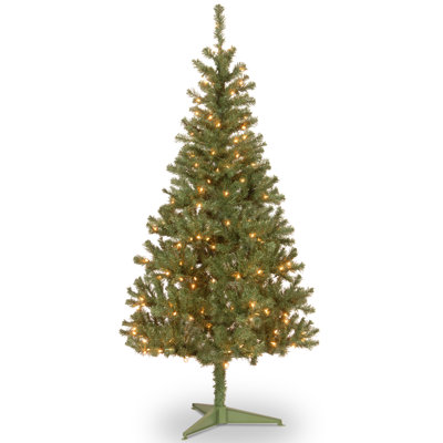 Canadian Grande Fir Tree with Clear Lights