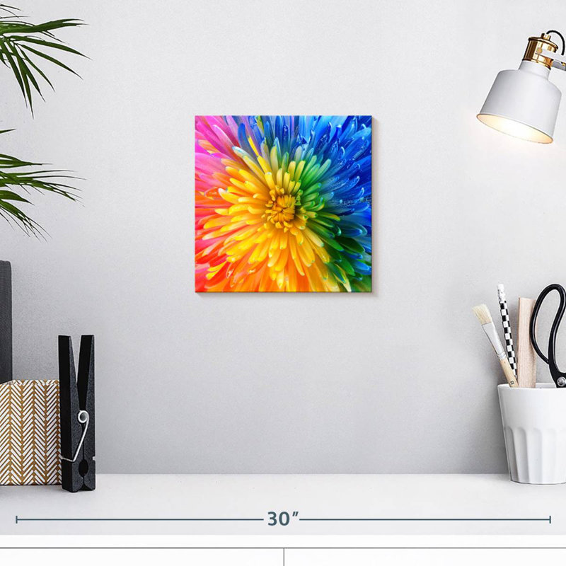 Chrysanthème Harnek, H 10 po x l 10 po