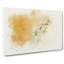 White Orchid Flowers In Abstract - Wrapped Canvas-55299852