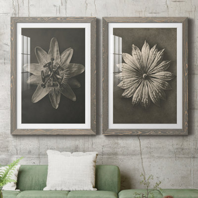«Blossfeldt Flower I», ensemble de 2 reproductions de photos sur papier encadrées