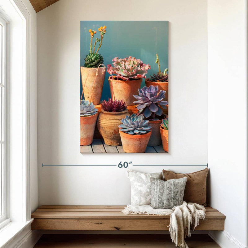 Plante grasse Harnek sur table, H 48 po x l 32 po