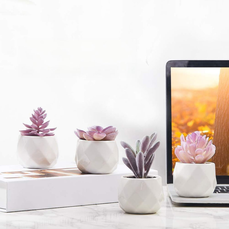 Mini ensemble de plantes vibrantes mauve