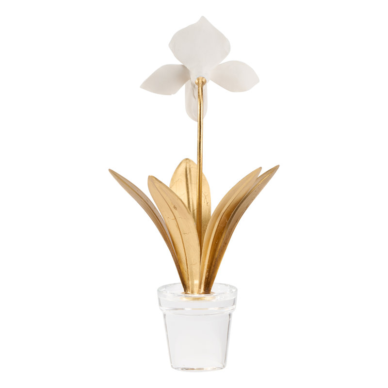 Lady Slipper Orchid