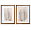 «Pampas Grass III» par Vincent Van Gogh - ensemble de reproductions d'art encadrées-38507441-38519891-38507445