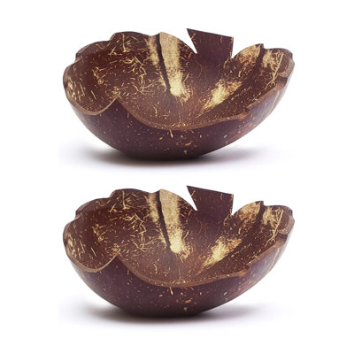 Leaf Coconut Bowl 2-Pack