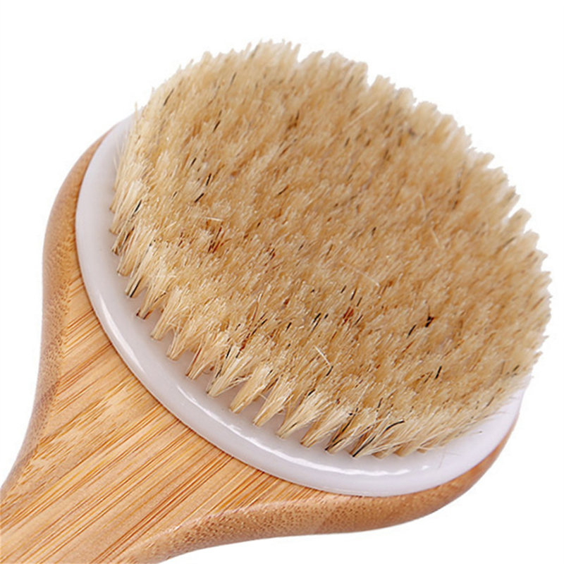 Topteng Natural Wood + Piglet Brush