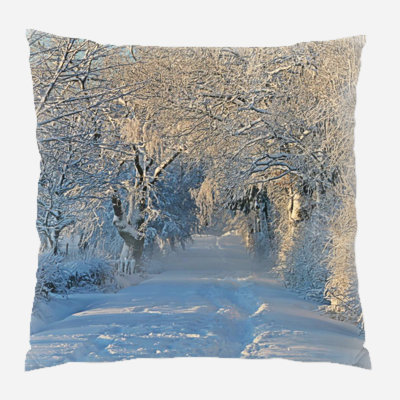 Canvas Outdoor Reversible Throw Pillow
