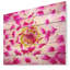 Photographie « smooth white rose pétales »-35062983-35062999