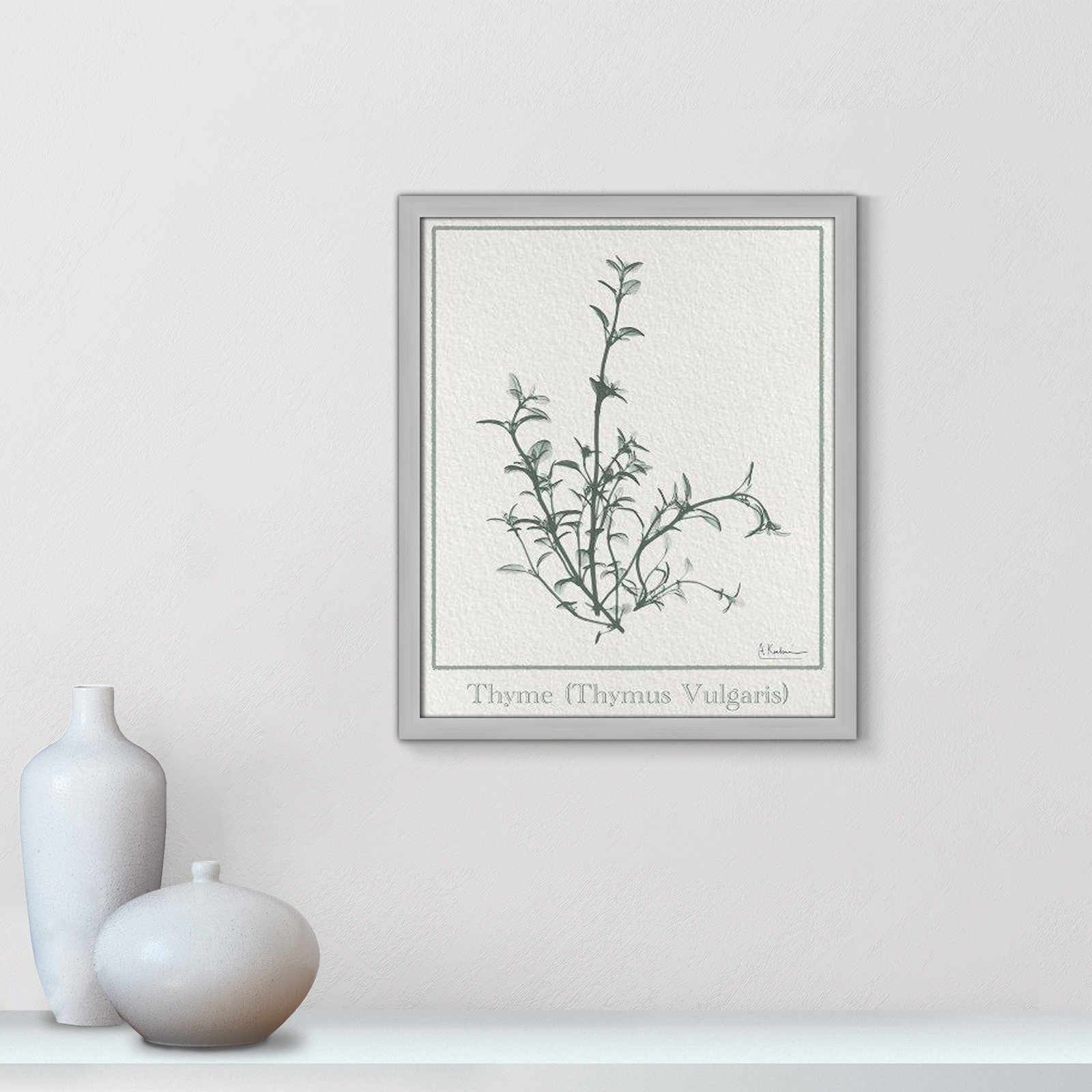 Jeanette "Thymus Vulgaris" Print, Matte Silver Framed Paper, 19" H x 16" W x 1.25" D