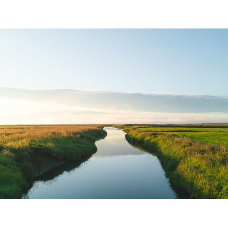 Stream 1 Print by Kwak, Tommy, Maple Single Picture Framed