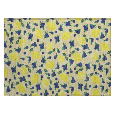 Machine Washable Indoor/Outdoor Bourkelands ACN2354 Fruits Rug