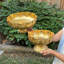 2 Piece Metal Tabletop Votive Holder Set